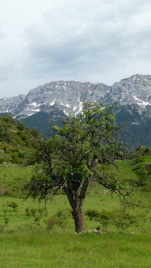 Cal Barida Otel Cava Dış mekan fotoğraf